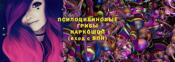 ПСИЛОЦИБИНОВЫЕ ГРИБЫ Алексин