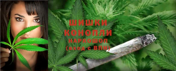 сатива Алзамай