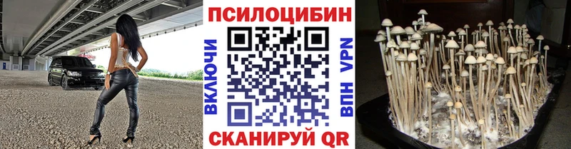 Псилоцибиновые грибы мицелий хочу наркоту Белорецк