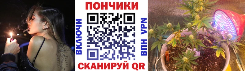 Бошки марихуана марихуана Белорецк